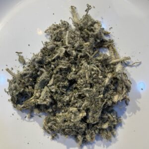 مريوت (Germandrée Polium (marriout