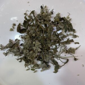 لسان الثور bourrache