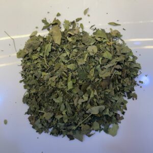 مورينغا ورق Moringa