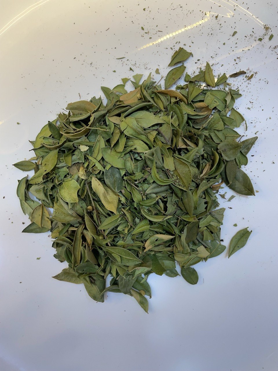 الريحان (Basil (Le basilic