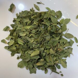 سدر ورق -Jujube leaves