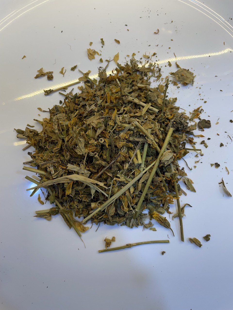قديسين St. John's Wort