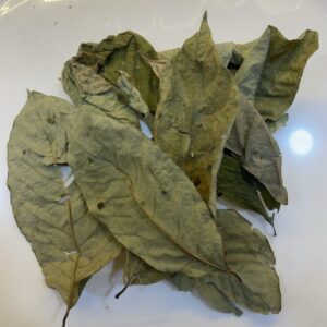 قرافيولا Graviola