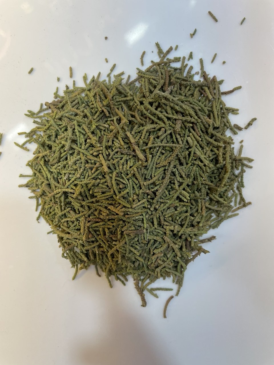 عرعار-genévrier-(Juniper)