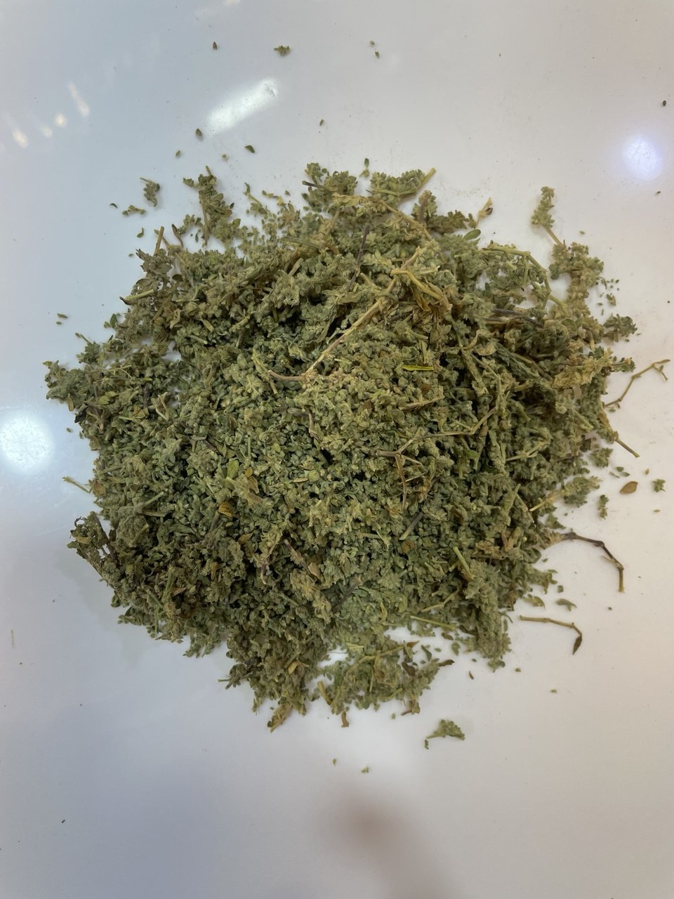 فتات الحجر (Saxifragaceae (Casse-pierre