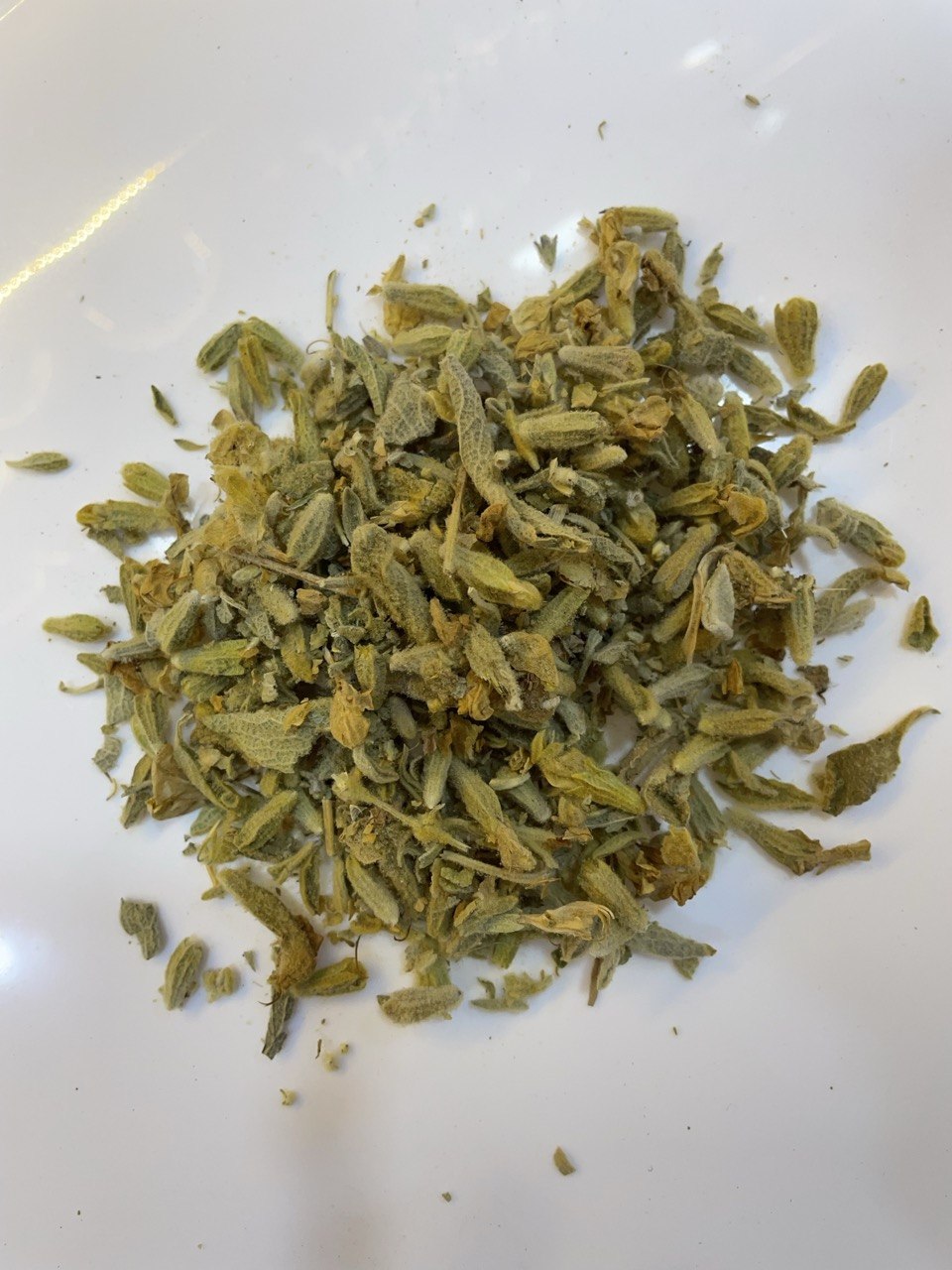 زهرة الربيع (evening primrose (L'onagre