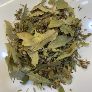 زيزفون أوروبي Linden