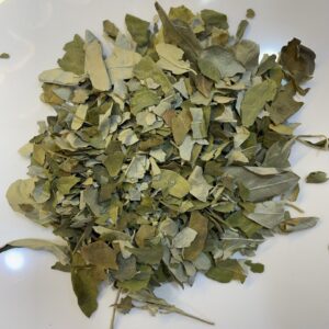 زيزفون دمشقي Linden