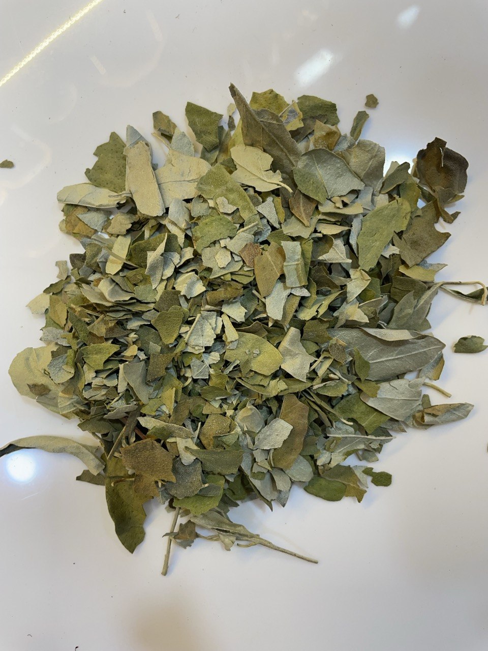 زيزفون دمشقي Linden