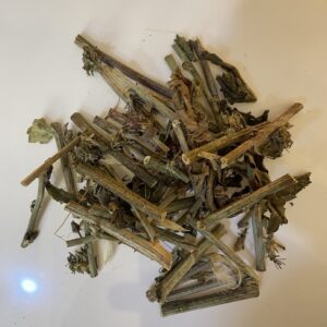هندباء Dandelion