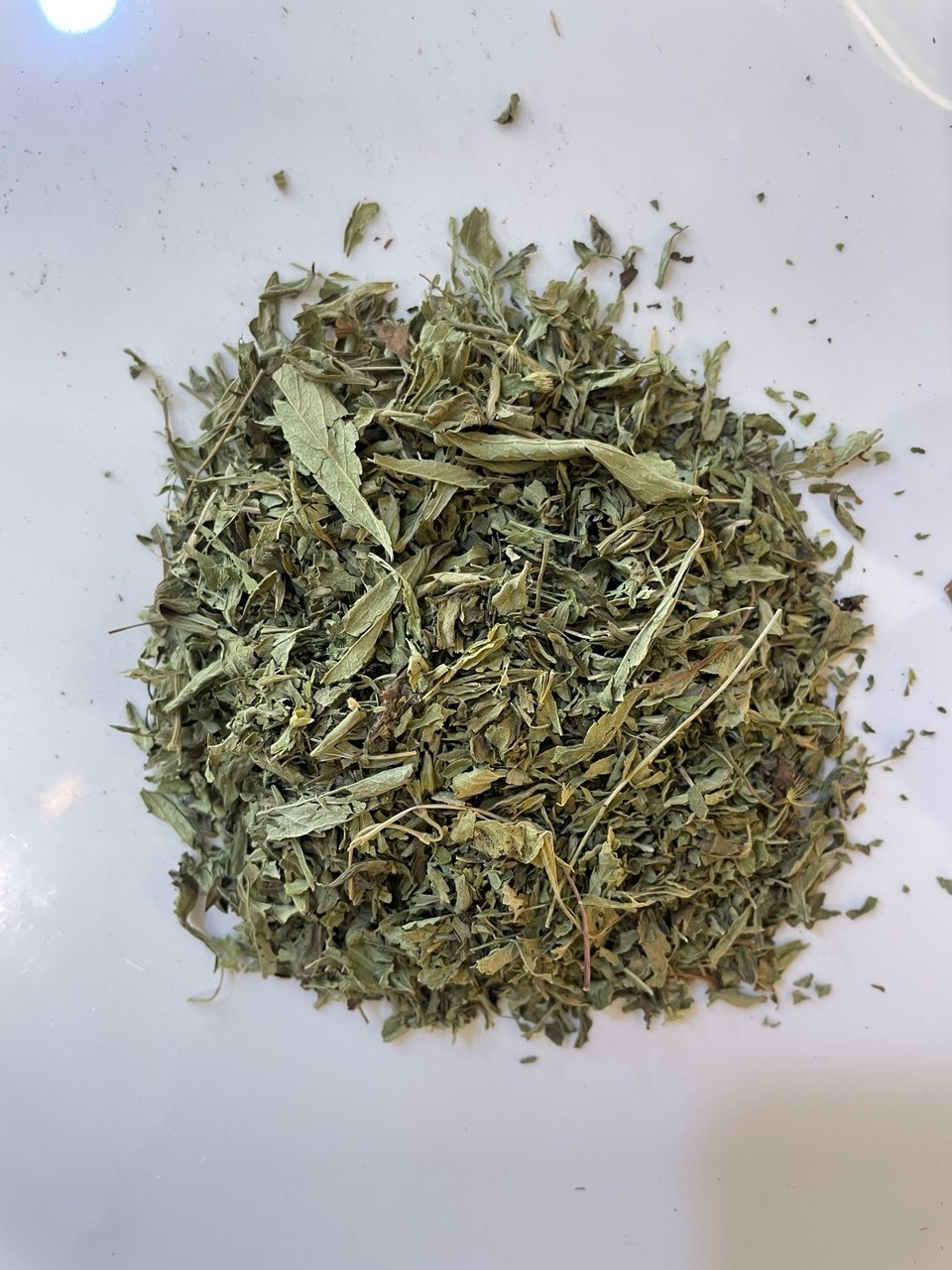 ستيفيا stevia