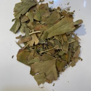 جينكا Ginkgo