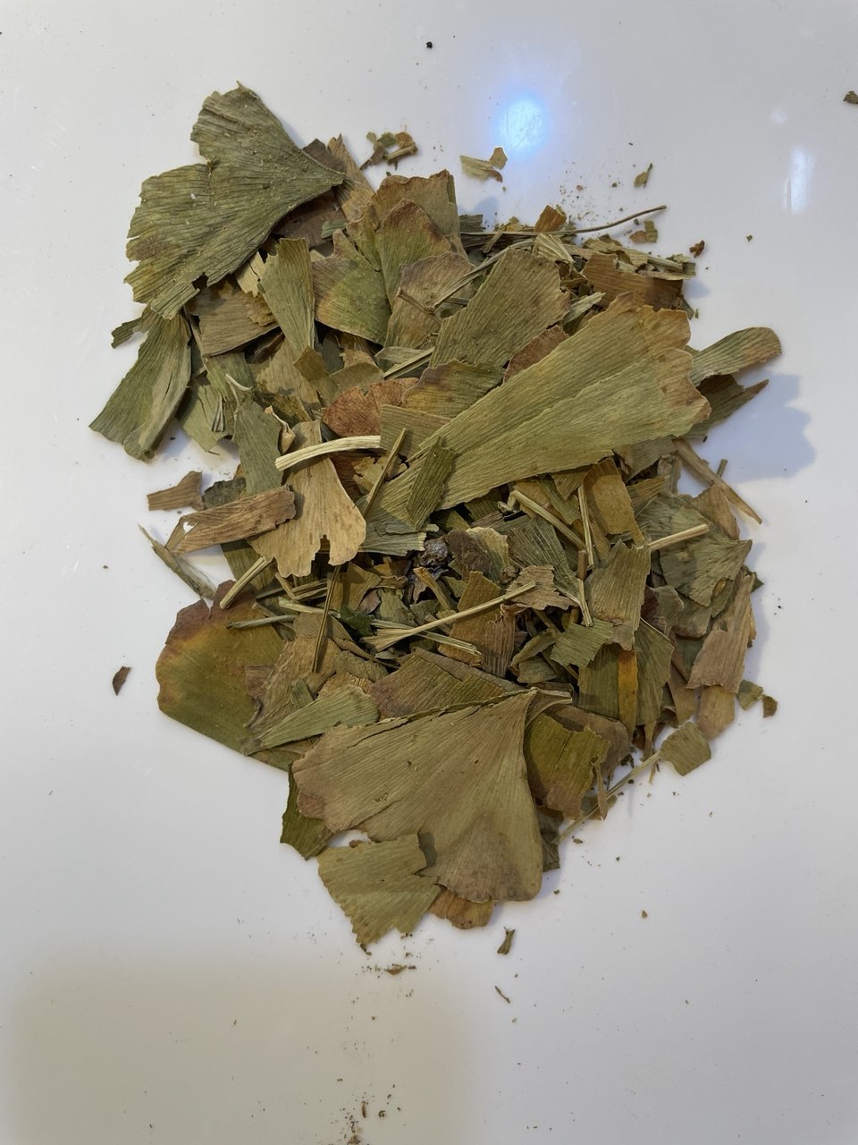 جينكا Ginkgo