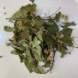 ورق الزعرور Hawthorn Leaves