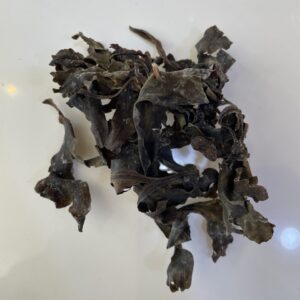 الفوقس الحويصلي Bladder Wrack