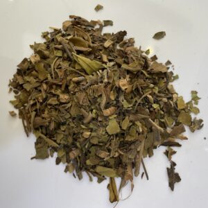 لوبيليا lobélie