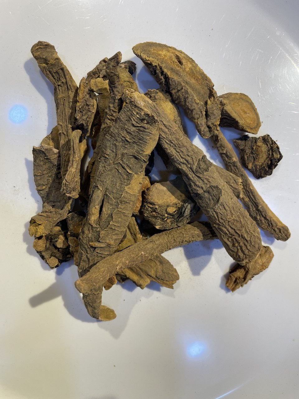 راوند Rhubarb