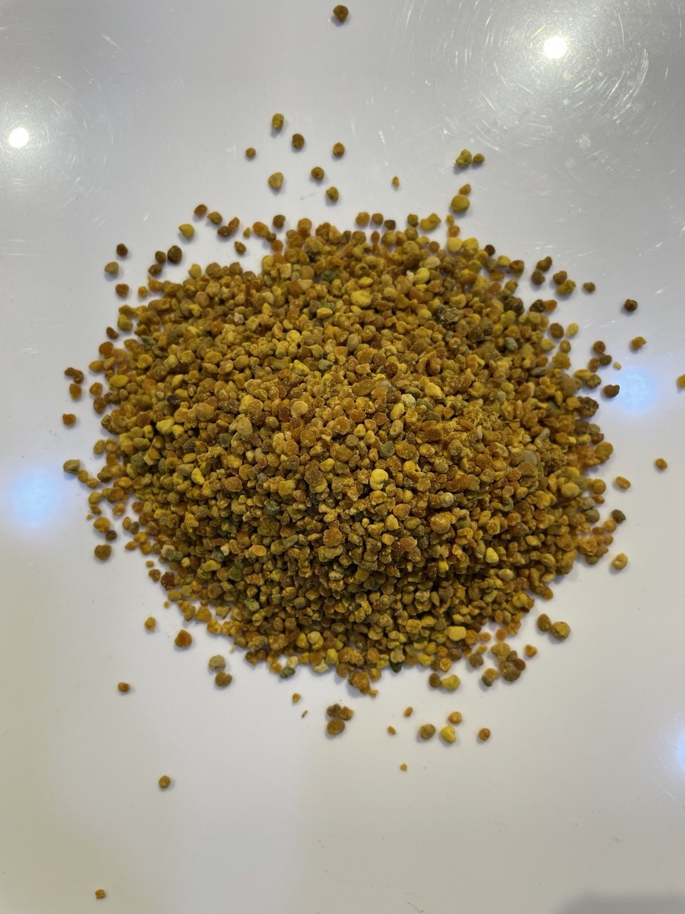 حبوب اللقاح - Pollen