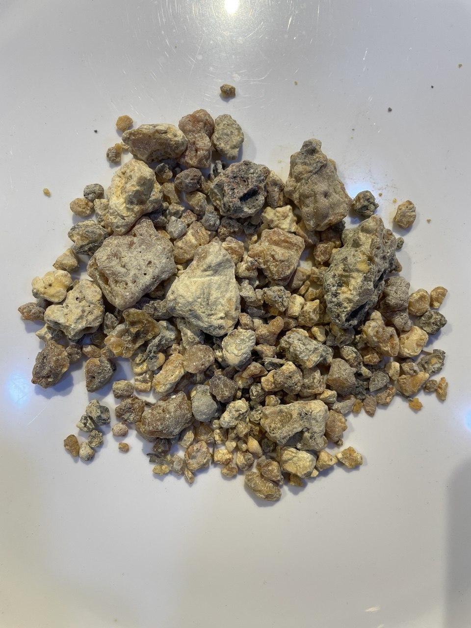 علك الصنوبر- Pine Gum