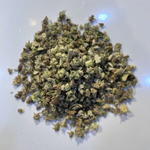 حسك Tribulus Terrestris