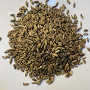 شوك الجمل الأبيض Thistle