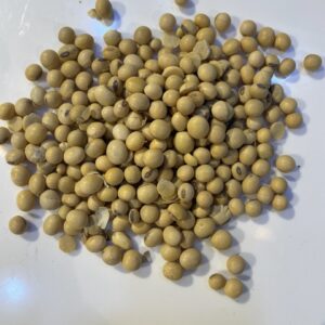 فول الصويا Soybeans
