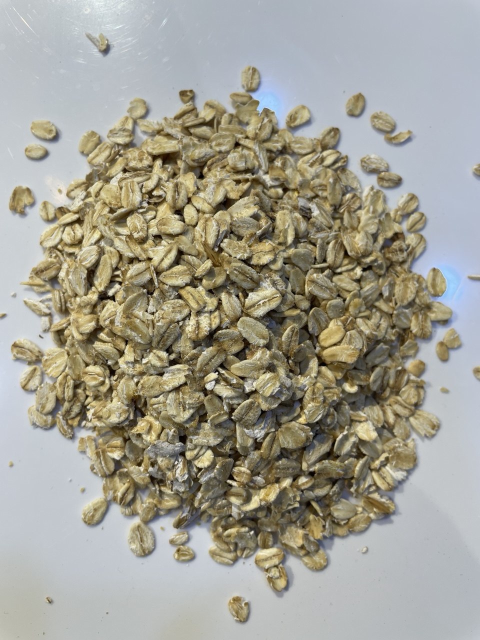 شوفان Oatmeal