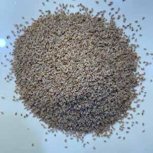 كاتونا (القاطونة) katuna