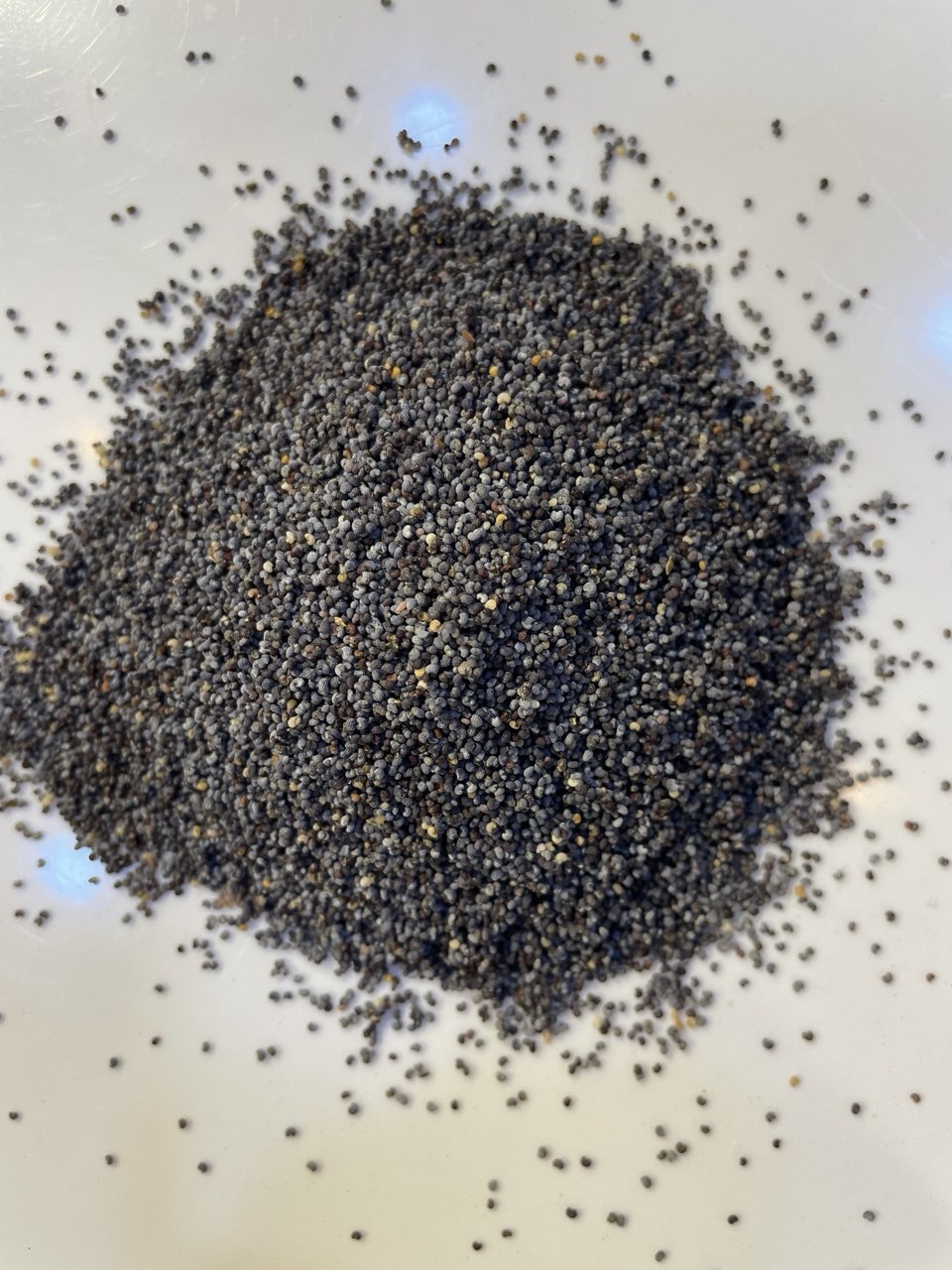 بذور الخشخاش Poppy Seeds