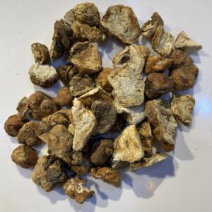 ترغودة حب