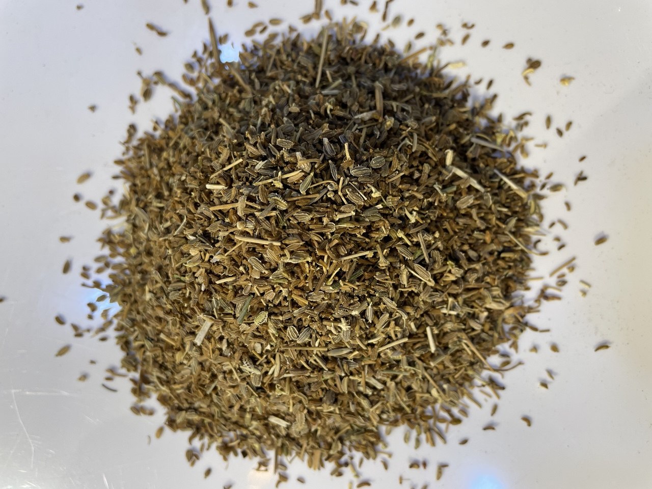 بذور الجزر Carrot seeds