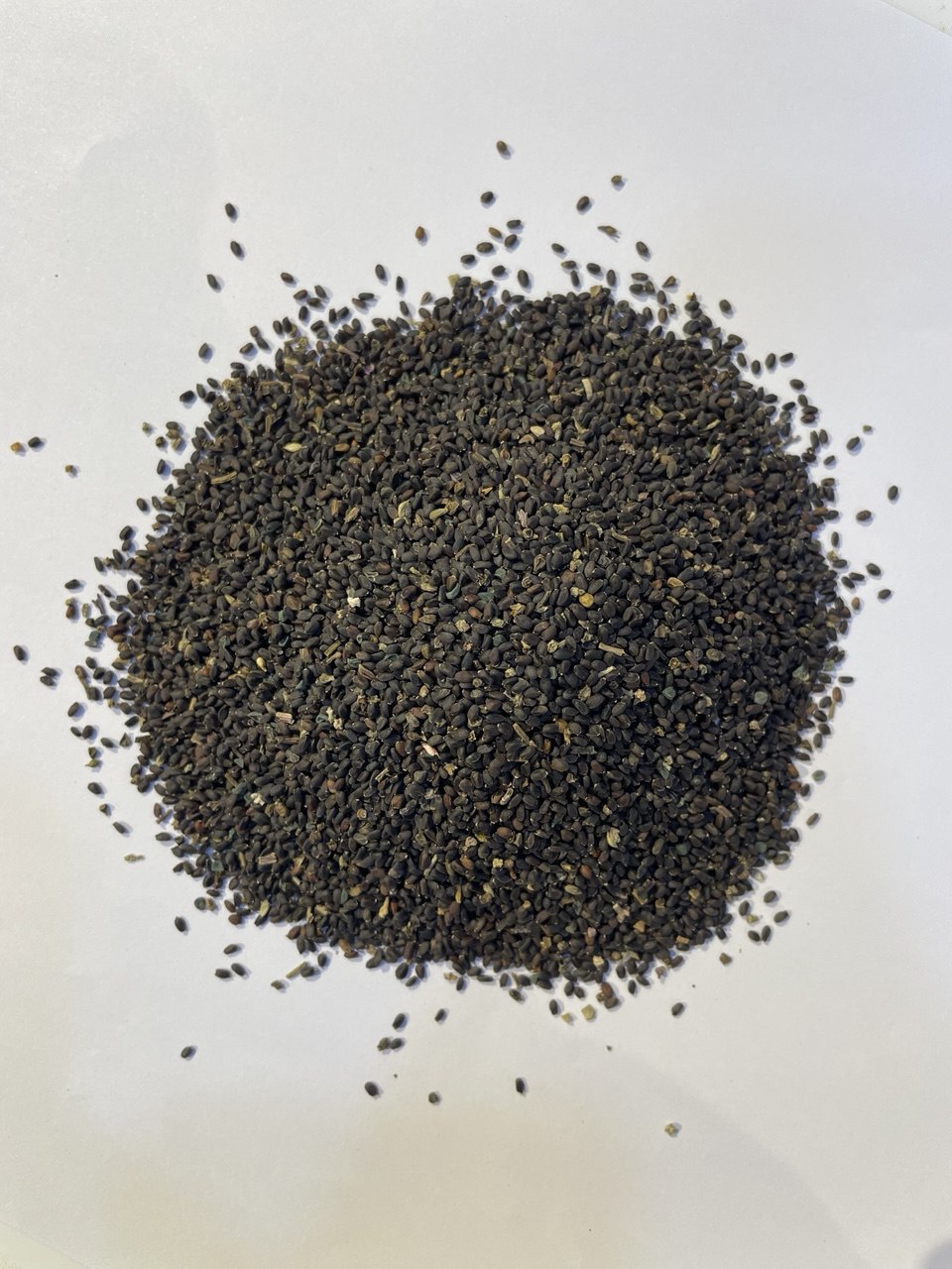 حبق بذور Basil Seeds