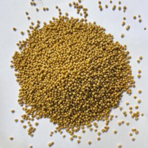 خردل اصفر Yellow Mustard Seeds