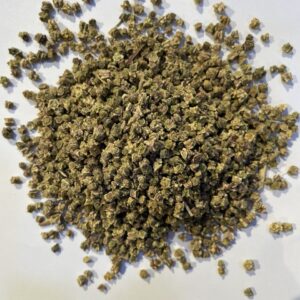 بيطراف حب beetroot seeds