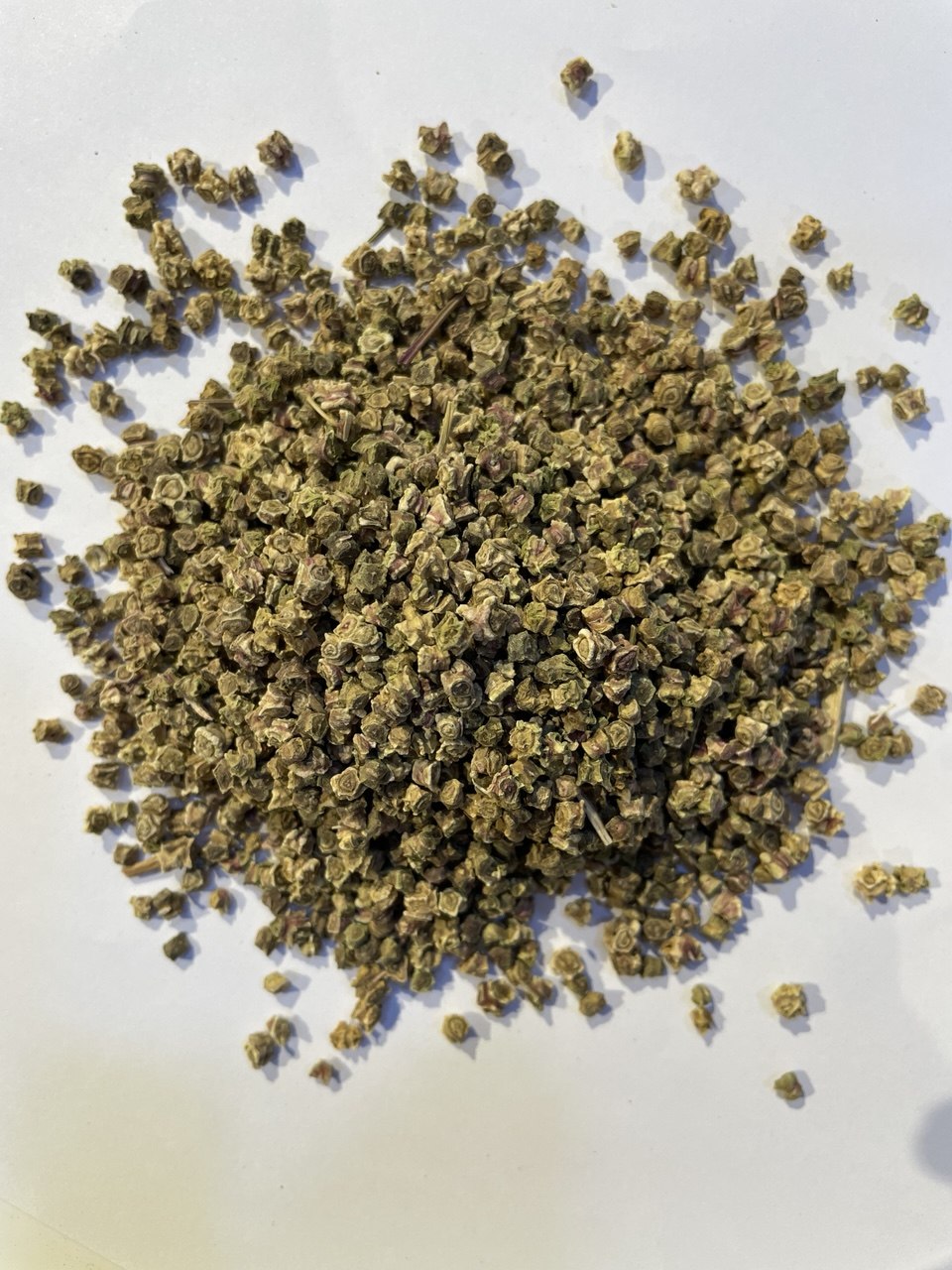 بيطراف حب beetroot seeds