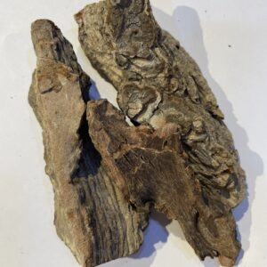 دباغة عود