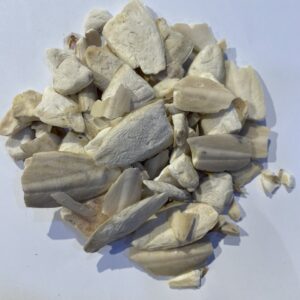 زبد البحر
