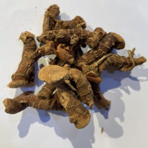 خنجلان - Galangal