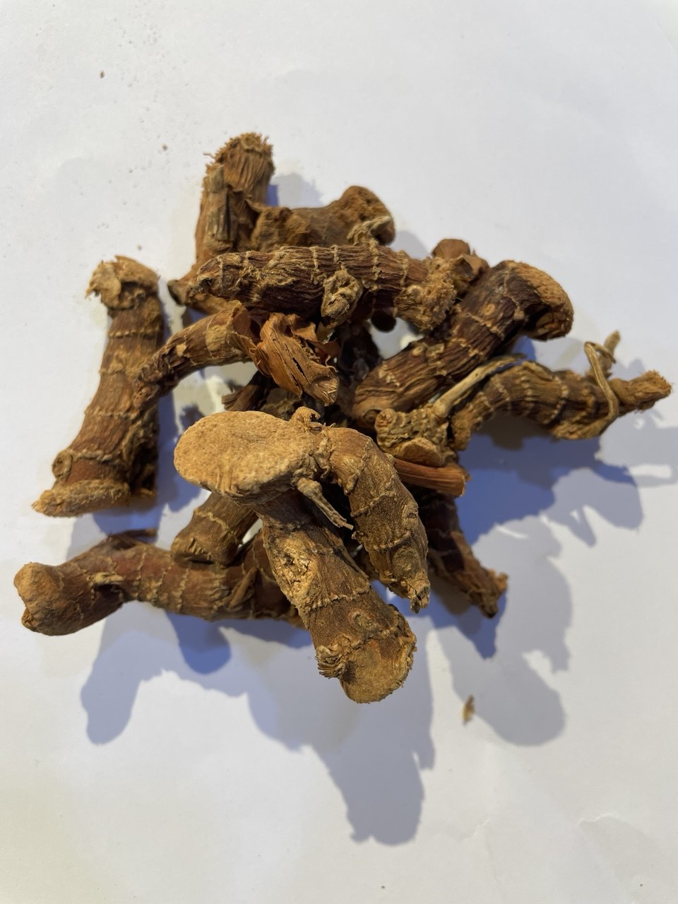 خنجلان - Galangal