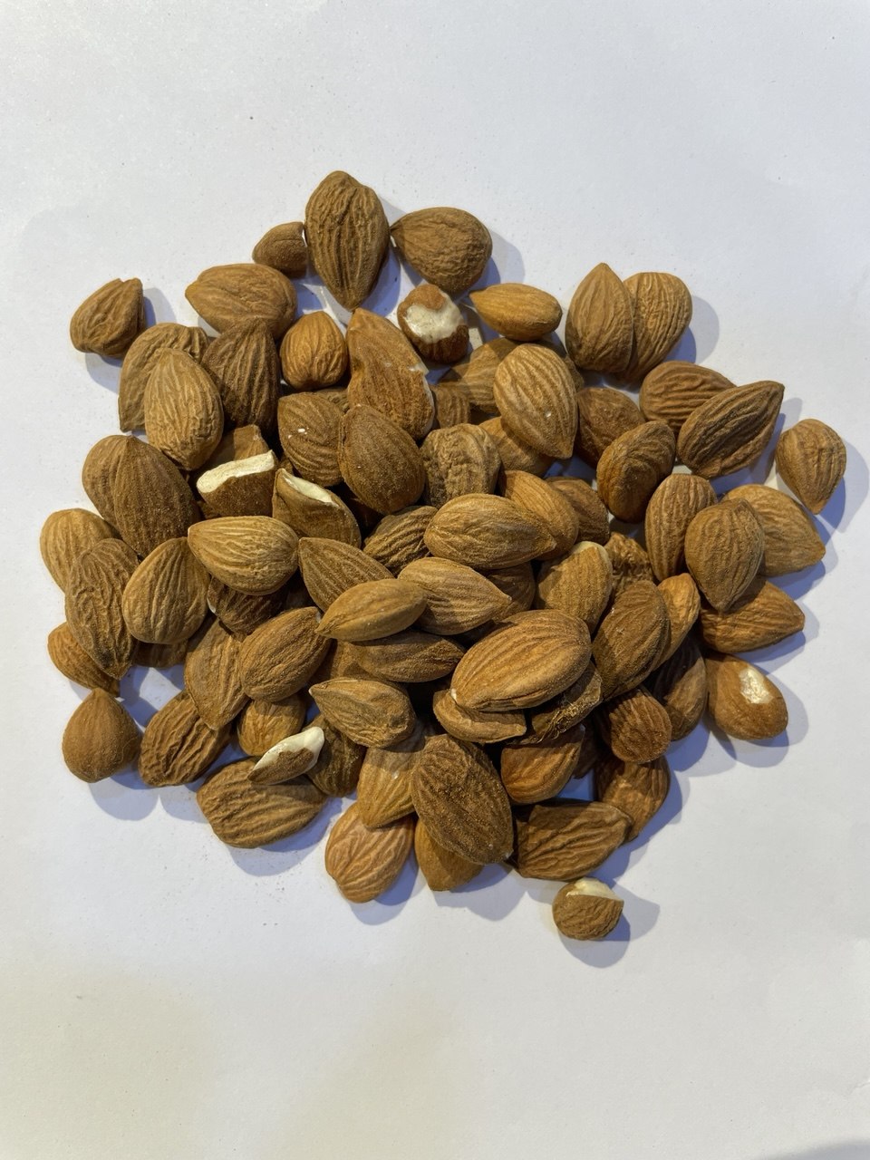 نواة المشمش