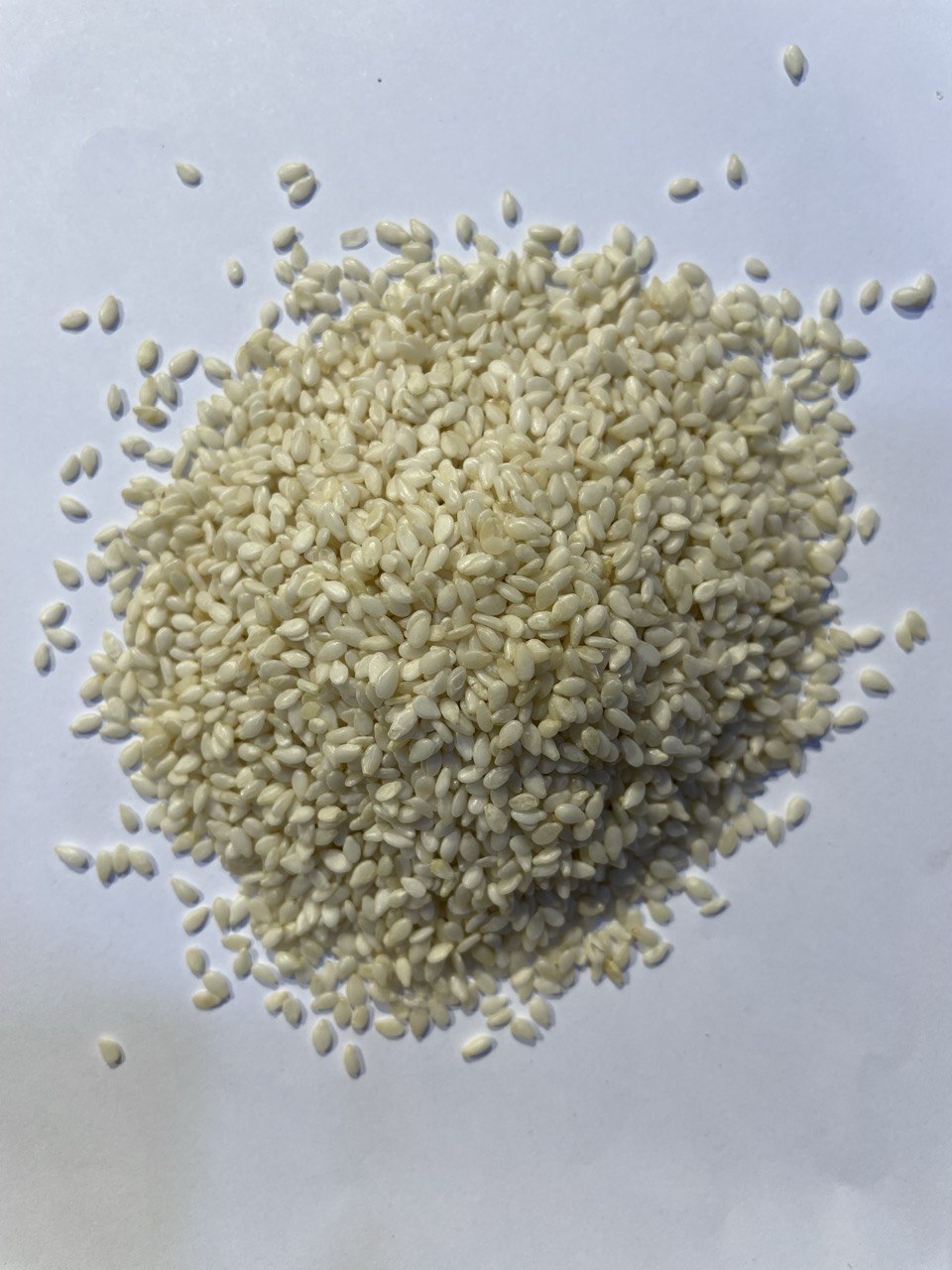 جلجلانية بيضاء - White Sesame Seeds