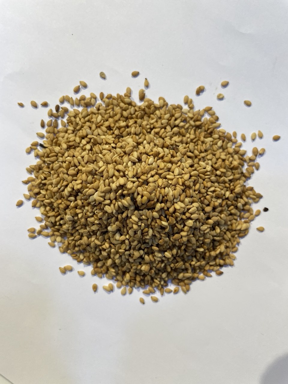 جلجلانية حمراء - Red Sesame Seeds