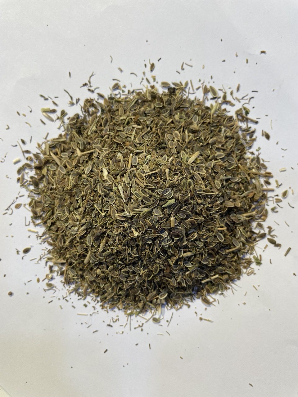 شبت حب Dill seeds