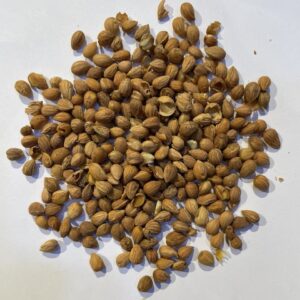 قمحة (المحلب) Prunus Mahaleb