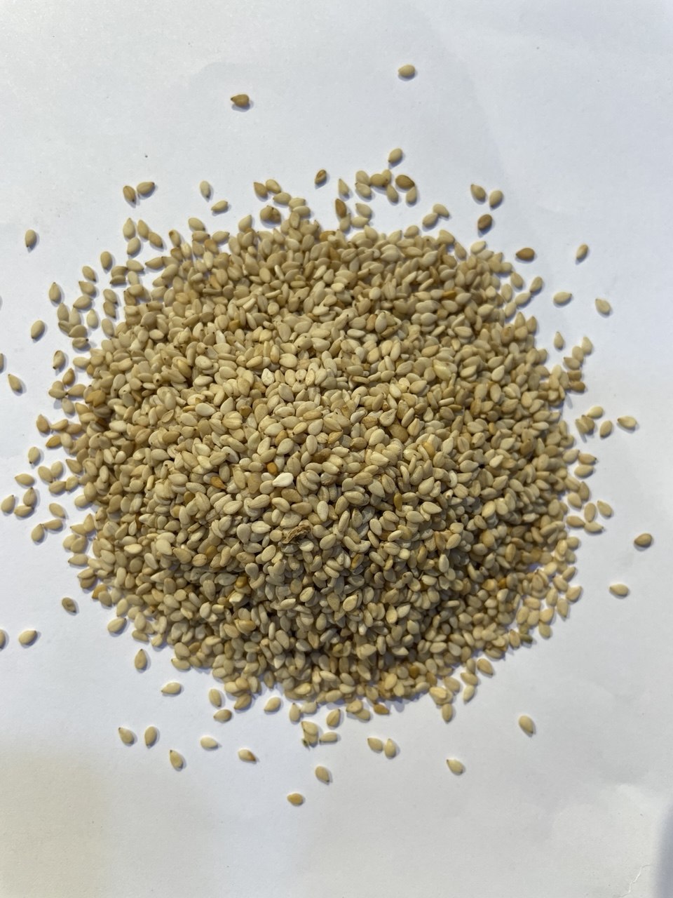 الجلجلانية - Sesame Seeds