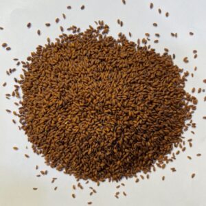 حب الرشاد - Garden Cress