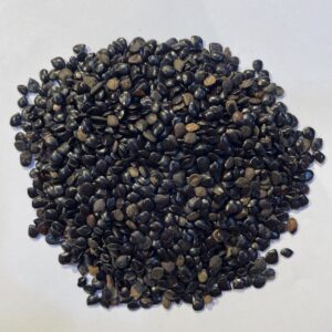 الحبة السوداء black seed