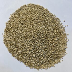 كينوى Quinoa