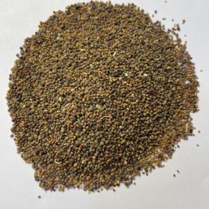 جرجير Arugula- Rocket Seeds