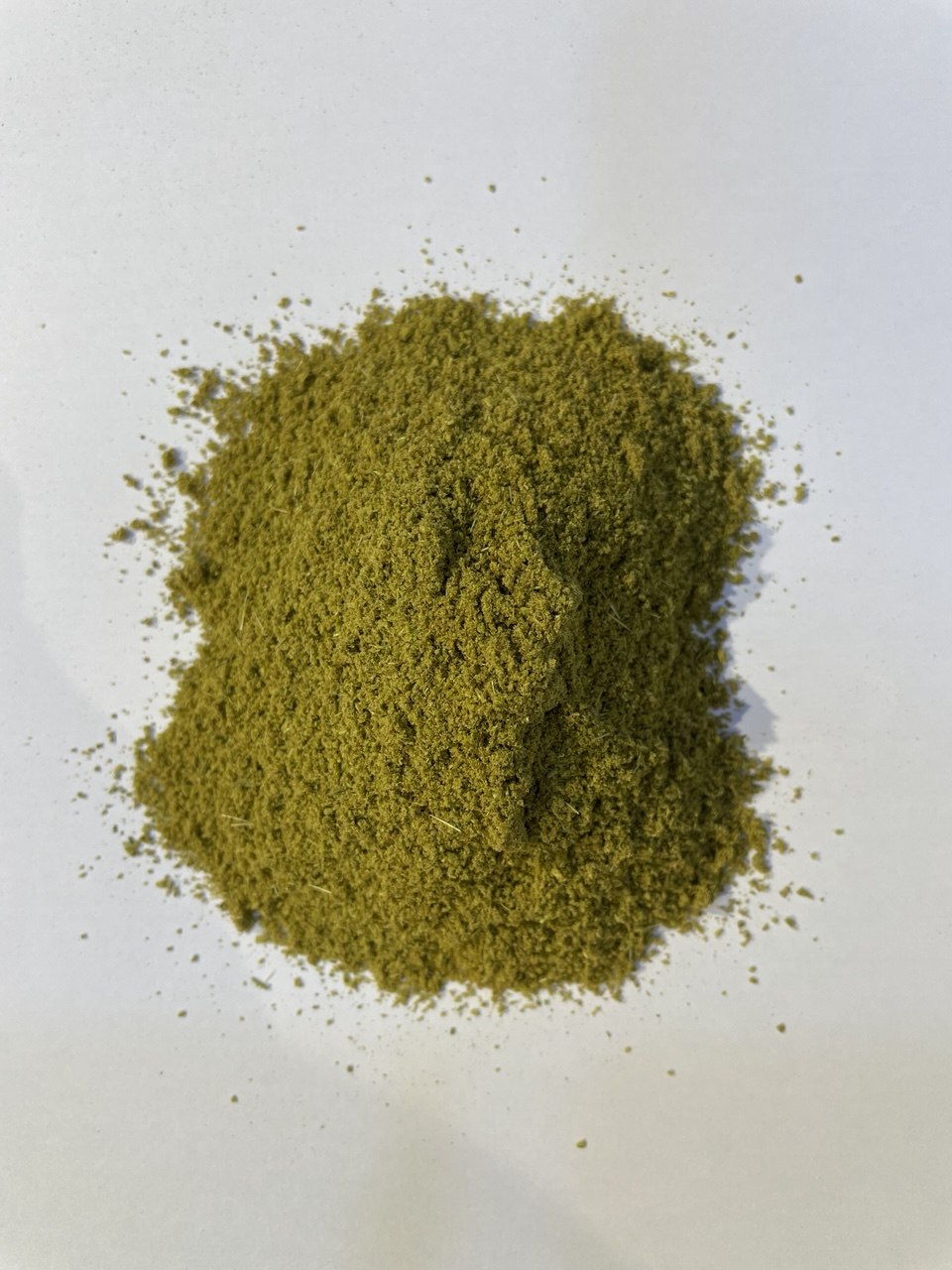 كروية مرحية - Ground Caraway